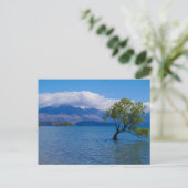 The Wanaka Tree, Lake Wanaka, NZ - Postcard ポストカード (スタンド正面)