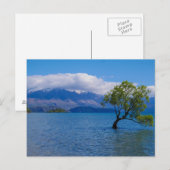 The Wanaka Tree, Lake Wanaka, NZ - Postcard ポストカード (正面/裏面)