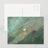 The water's surface in October ポストカード (正面/裏面)