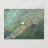 The water's surface in October ポストカード (正面)