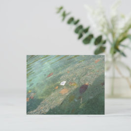 The water's surface in October ポストカード
