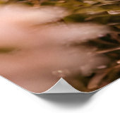 The Way We Stay ポスター (角)