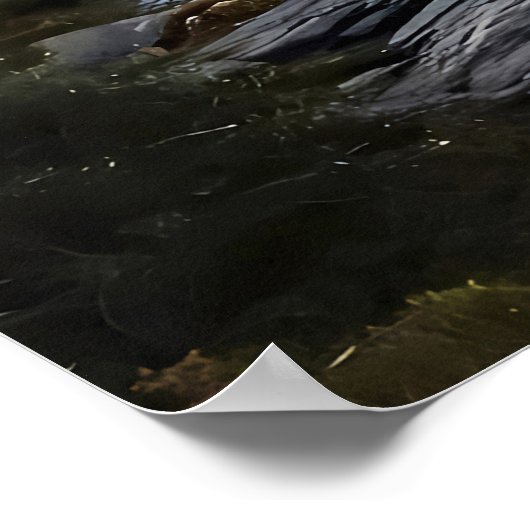 The Web Over Mountains ポスター (角)