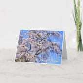 The Weeping Cherry Tree: Matabei-Zakura カード (正面)