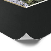 The Weeping Cherry Tree: Ōno-ji temple ポスター (角)