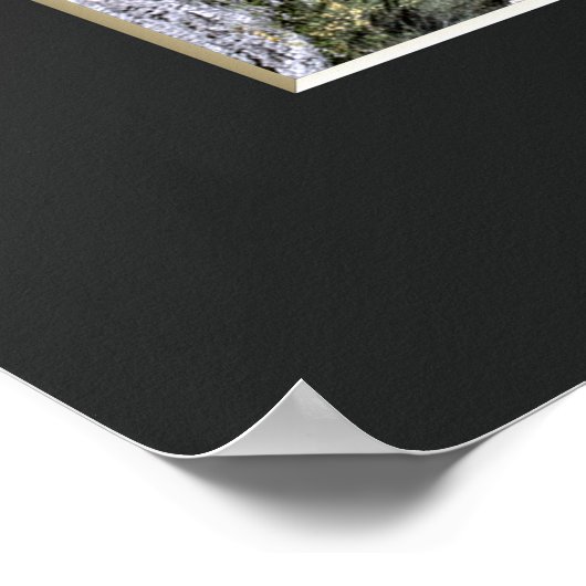 The Weeping Cherry Tree: Ōno-ji temple ポスター (角)