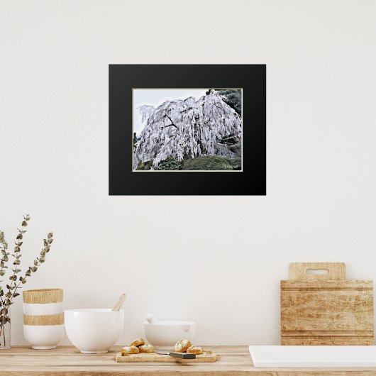 The Weeping Cherry Tree: Ōno-ji temple ポスター (キッチン)