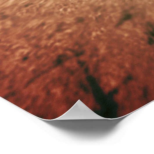 The Wellfleet Penman ポスター (角)