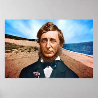 The Wellfleet Penman ポスター