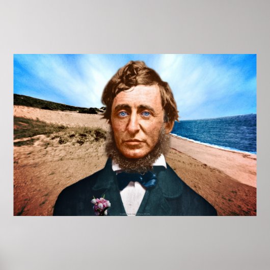 The Wellfleet Penman ポスター (正面)