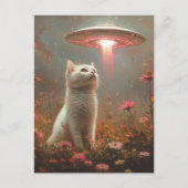 The White Cat and a UFO ポストカード (正面)
