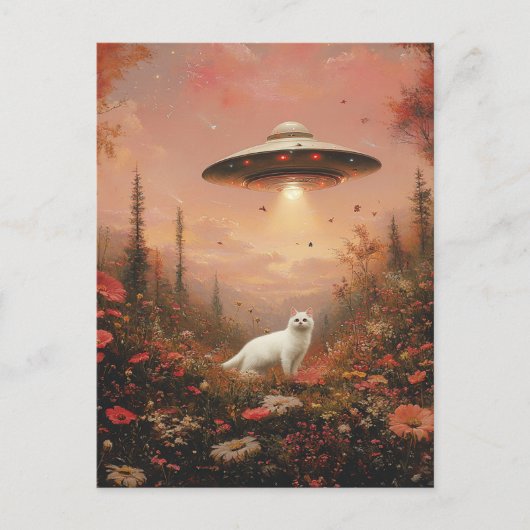 The White Cat and a UFO ポストカード (正面)
