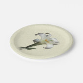 The White Lily - ペーパープレート (アングル)