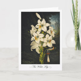 The White Lily — Modern Botanical Reinterpretation カード