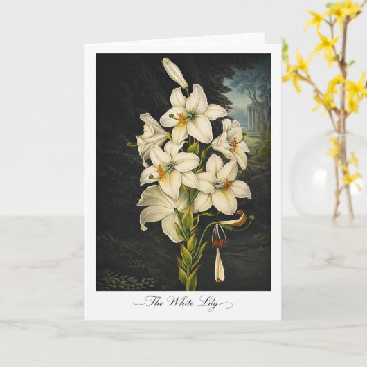 The White Lily — Modern Botanical Reinterpretation カード (黄色い花)