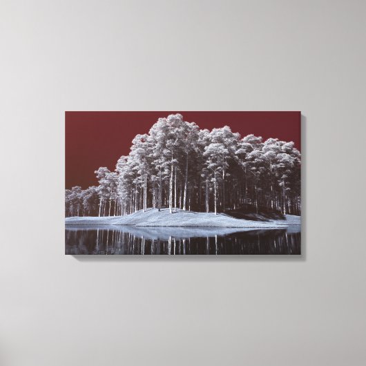 The White Woods Canvas Print キャンバスプリント (正面)