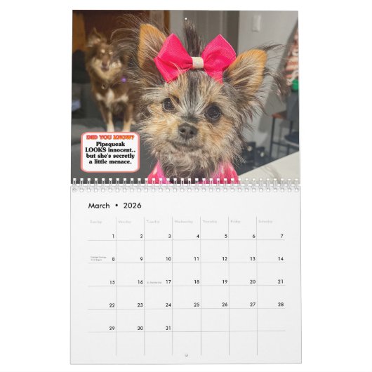 The Whole Gang カレンダー (3月 2026)