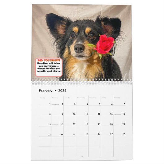 The Whole Gang カレンダー (2月 2026)