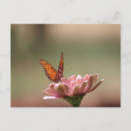 The Wings - – バタフライポストカード ポストカード