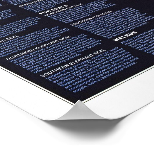 " The World: 1987 Pinniped around the World ... ポスター (角)