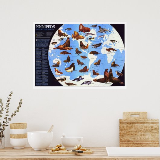 " The World: 1987 Pinniped around the World ... ポスター (キッチン)