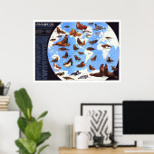 " The World: 1987 Pinniped around the World ... ポスター (ホームオフィス)