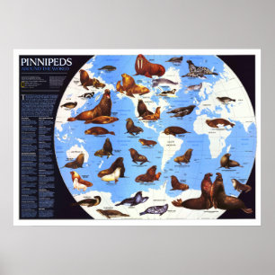 " The World: 1987 Pinniped around the World ... ポスター