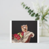 The Yorkie Queen ポストカード (スタンド正面)