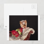 The Yorkie Queen ポストカード (正面/裏面)