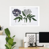 The Young Landsmanの13図13 publishe ポスター (ホームオフィス)