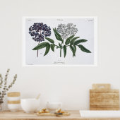 The Young Landsmanの13図13 publishe ポスター (キッチン)