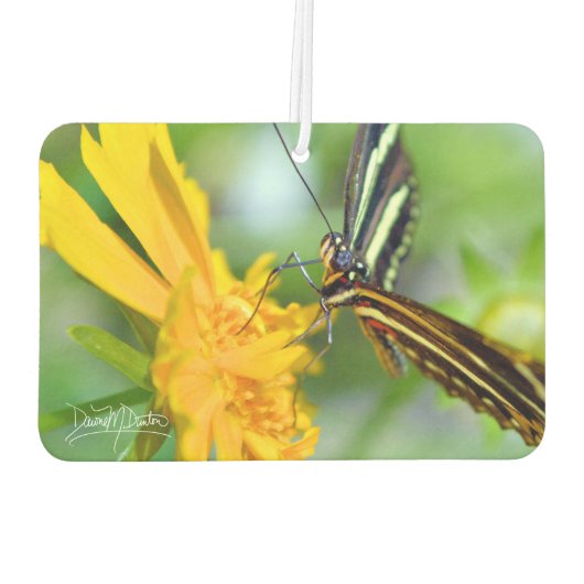 The Zebra Longwing カーエアーフレッシュナー (裏面)