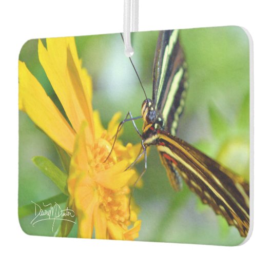 The Zebra Longwing カーエアーフレッシュナー (左)