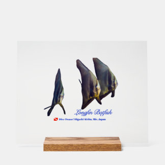 Thee Cute Longfin Batfish Beverage Coaster アクリルサイン