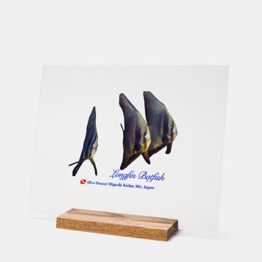 Thee Cute Longfin Batfish Beverage Coaster アクリルサイン (傾斜)