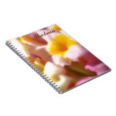 Thelma – ノートブック (右側)