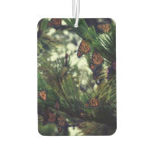 THEMONARCHS MONARCHS 3  カーエアーフレッシュナー (裏面)