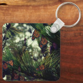 THEMONARCHS MONARCHS 3  キーホルダー (裏面)