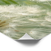 Then Sings My Soul Dandelions and Daisies ポスター (コーナー)