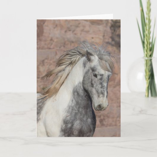 Theodore - Galloping to Freedom Greeting Card カード (正面)
