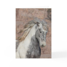 Theodore - Galloping to Freedom Greeting Card