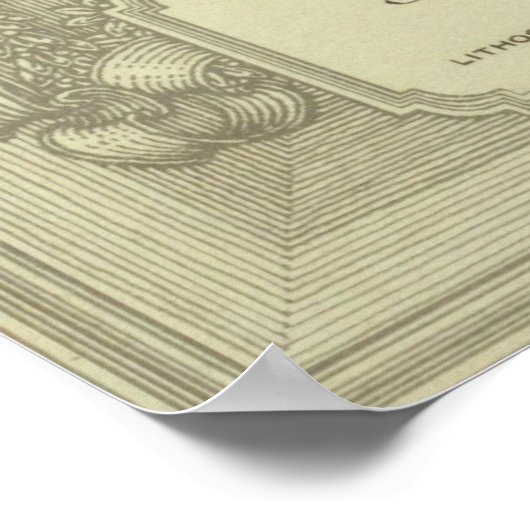 Theodore Roosevelt ポスター (角)