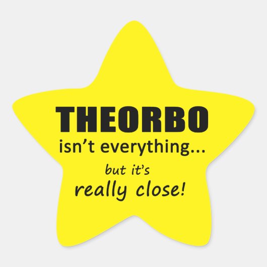 Theorbo Is Everything Starステッカー 星シール (正面)