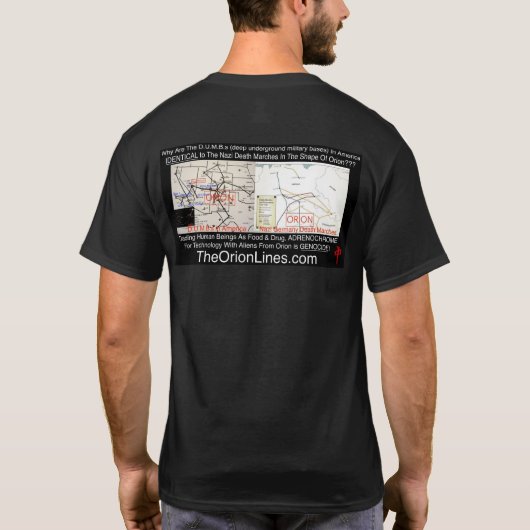 theorionlines.com DUMBs Tシャツ 2 (裏面)