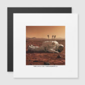 THERE IS LIFE ON MARS  (正面/裏面)