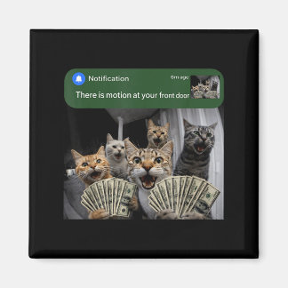 There is motion at front door funny cat motion mem マグネット