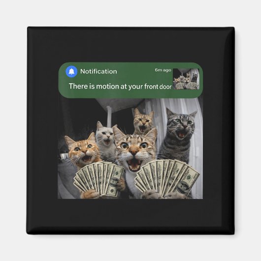 There is motion at front door funny cat motion mem マグネット (正面)