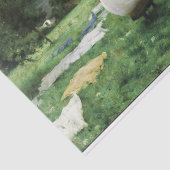 Therese Cotard-Dupreで洗濯 薄葉紙 (詳細)