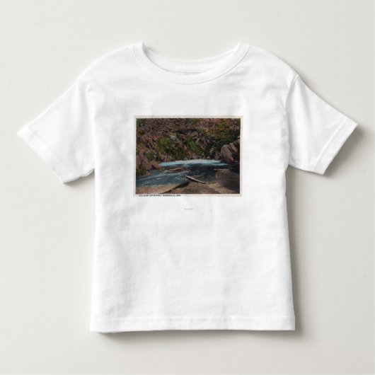 Thermopolis、WY -角のHot Springsの大きい眺め トドラーTシャツ (正面)
