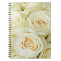 Therosegarden著白いバラ